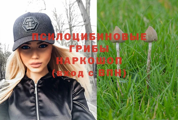 прущая мука Краснослободск