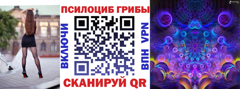 это телеграм даркнет сайт Никольск Псилоцибиновые грибы Psilocybe